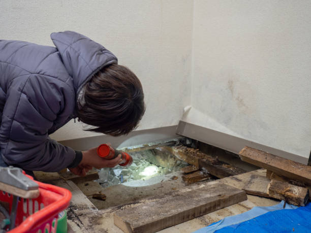 Best Mold Remediation for Healthcare Facilities  in Fond Du Lac, WI