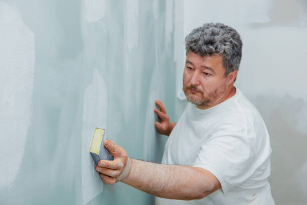 Best Commercial Mold Inspection  in Fond Du Lac, WI